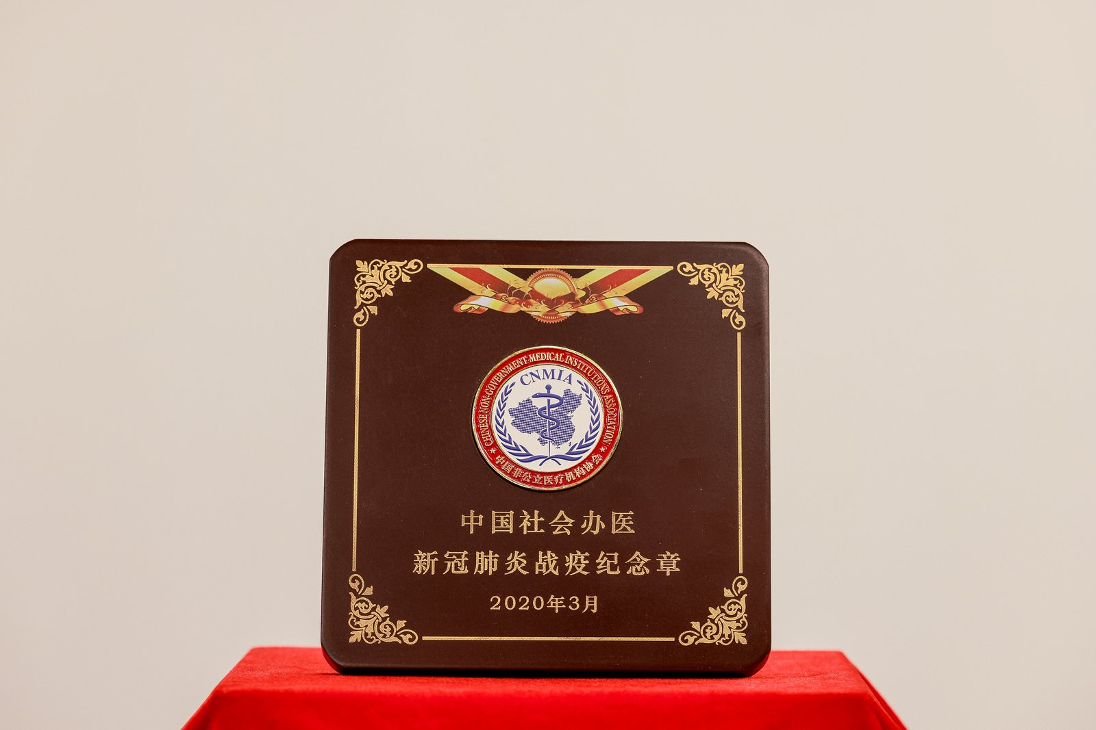 COVID-19 Campaign Medal