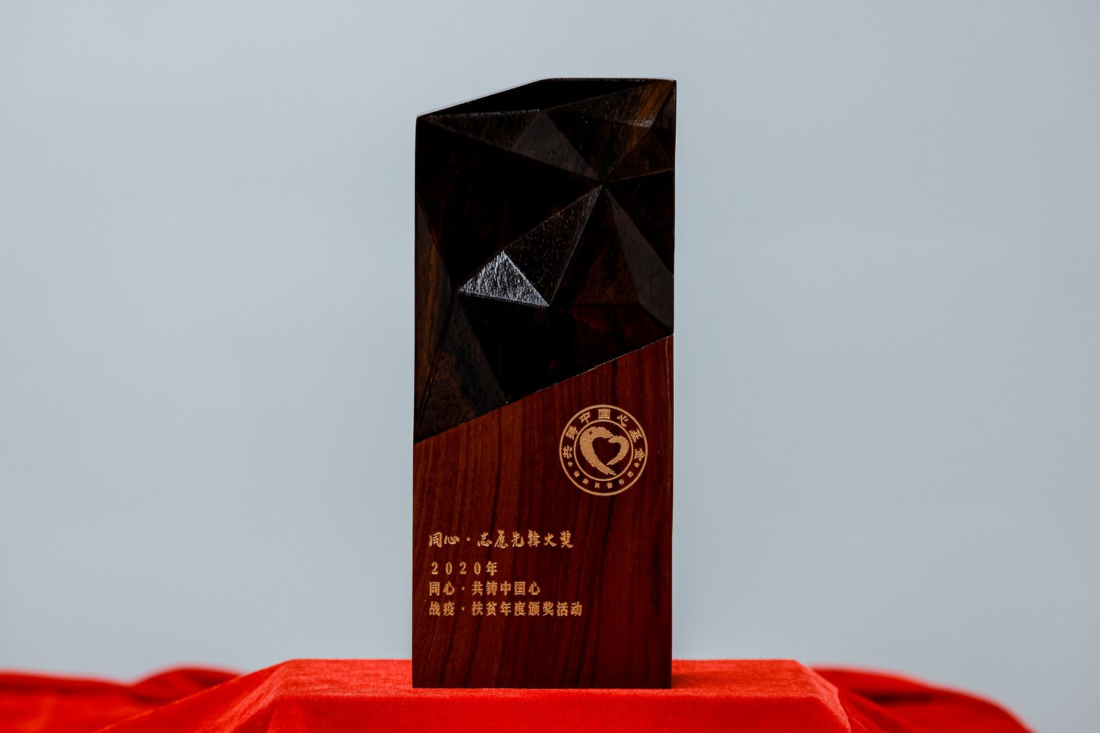 Tongxin · Volunteer Pioneer “Spark” Award