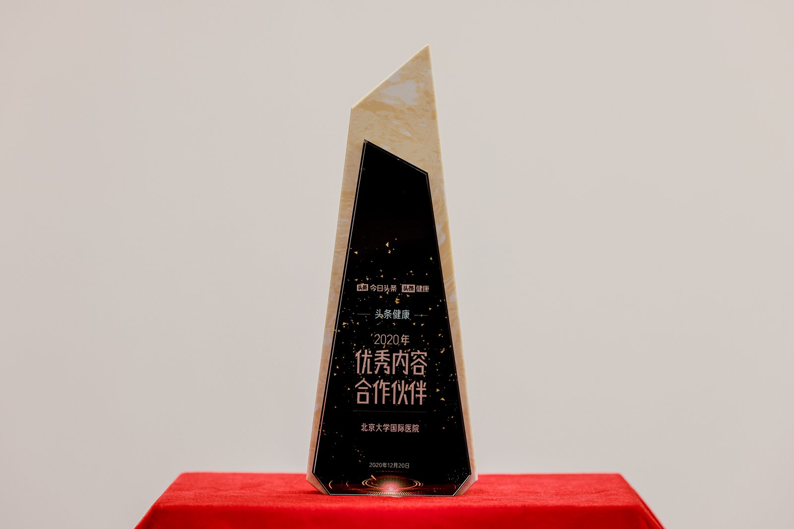 Outstanding Partner Award